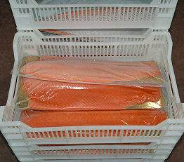 Fillets packed