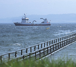 Wellboat